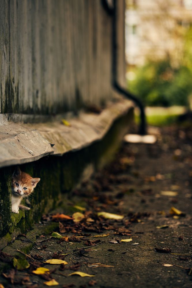 Photograph by Дыбов Дмитрий