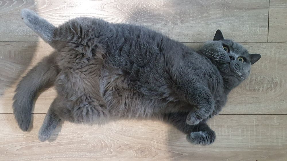 Photograph by Елена Харитонова