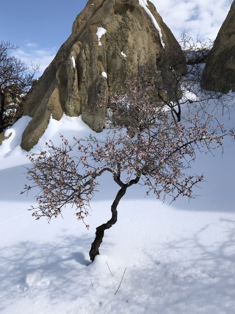 Photograph by Мария Бессмертная