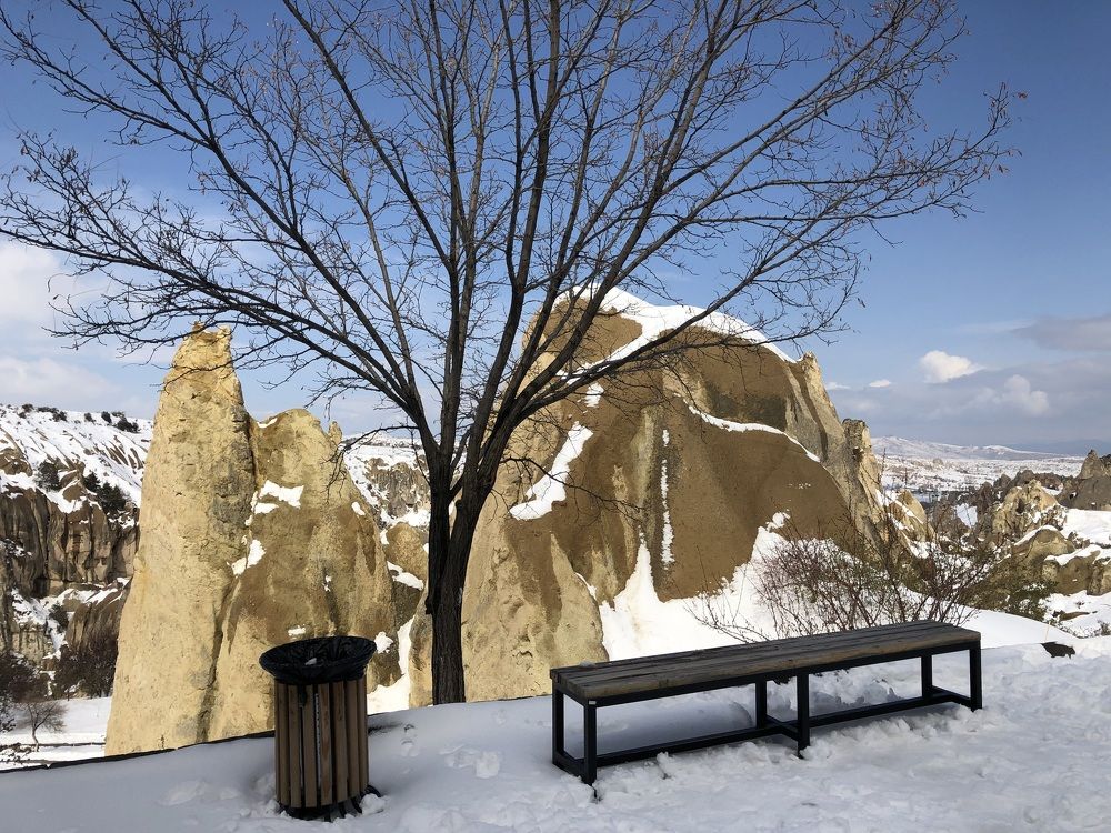 Photograph by Мария Бессмертная