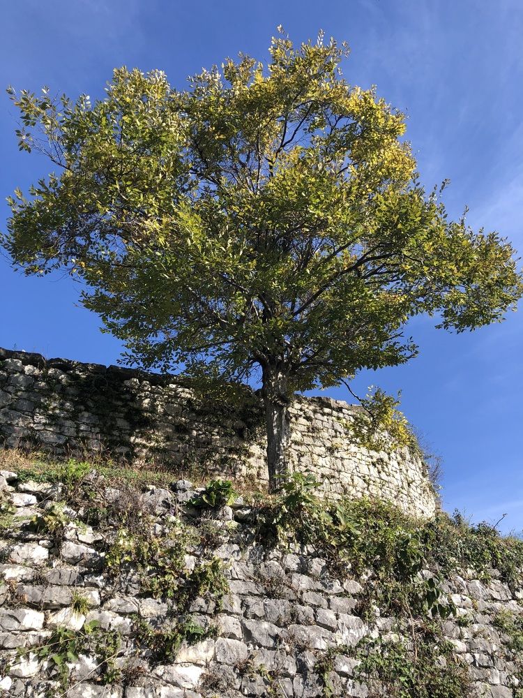 Photograph by Мария Бессмертная