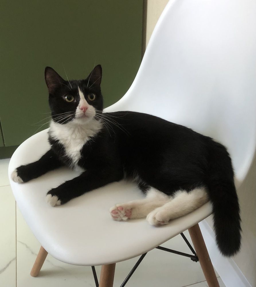 Photograph by Мария Бессмертная