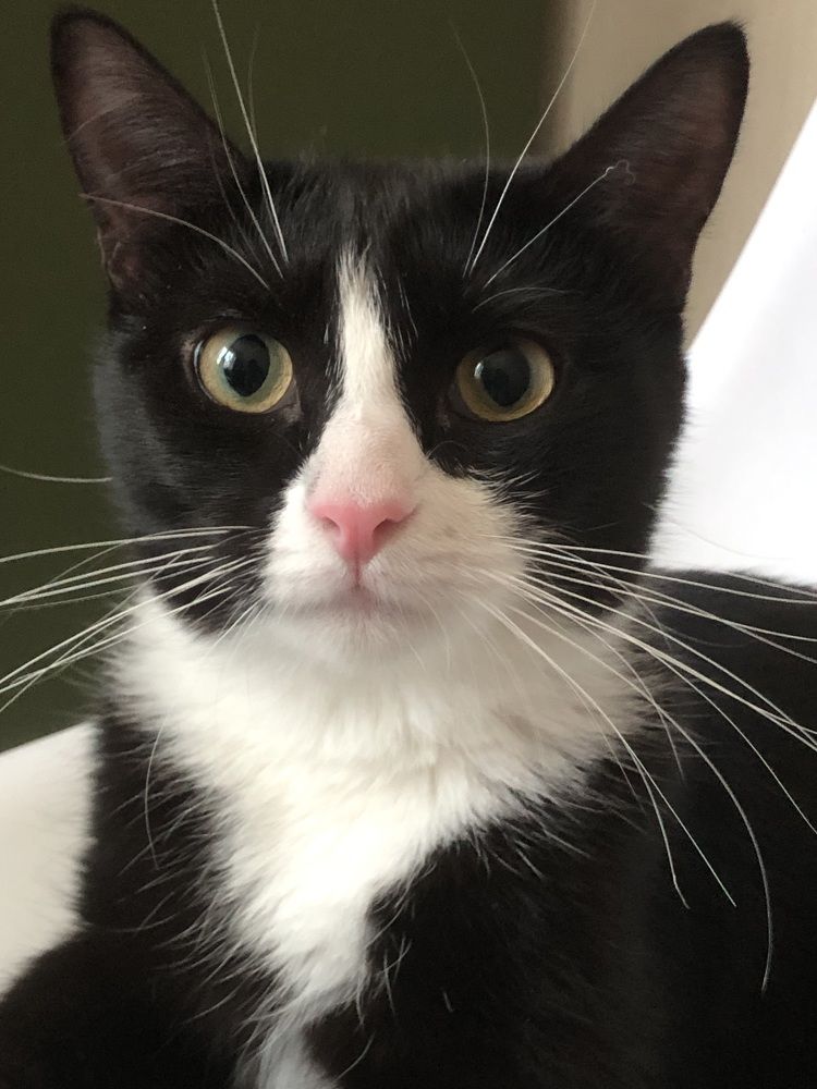 Photograph by Мария Бессмертная