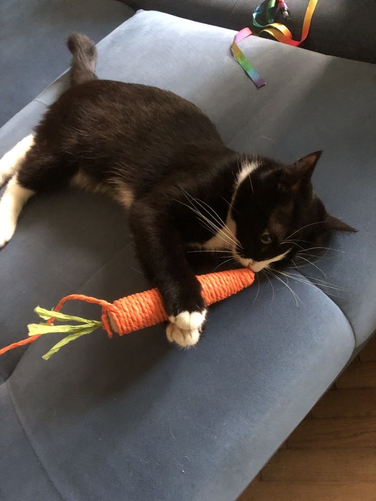 Photograph by Мария Бессмертная