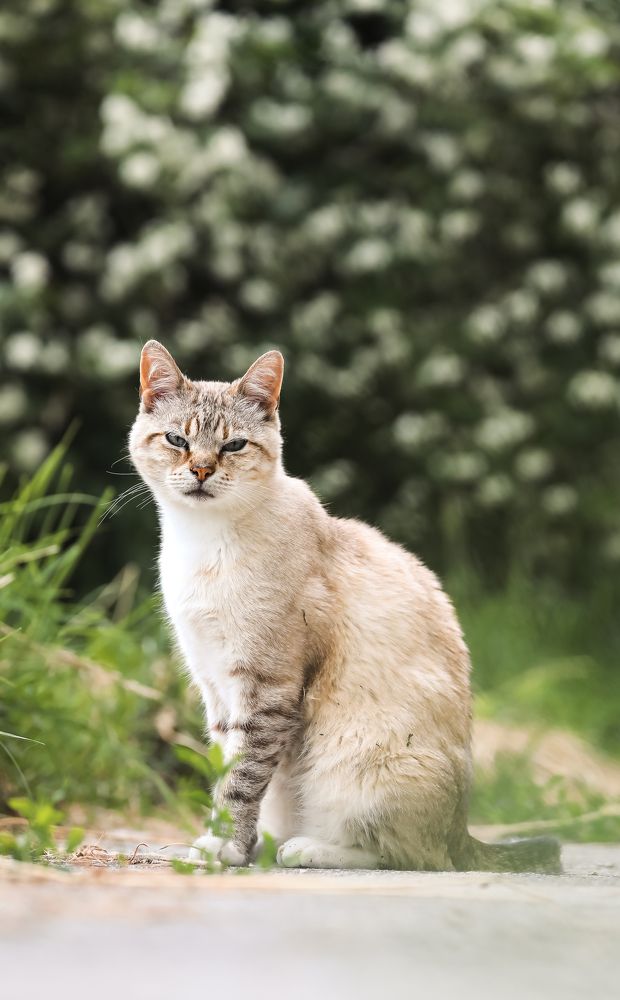 Photograph by Мария Ирешева