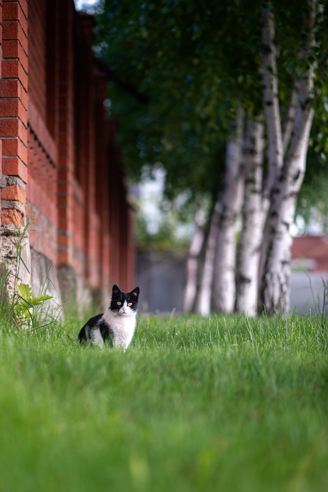 Photograph by Вадим