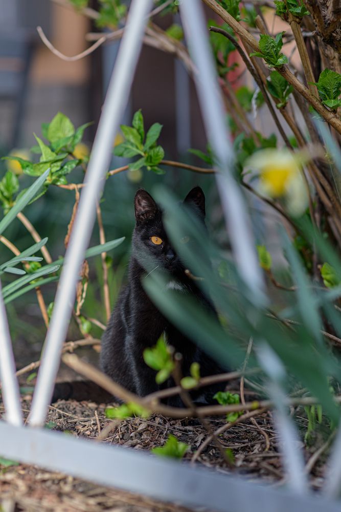 Photograph by Вадим