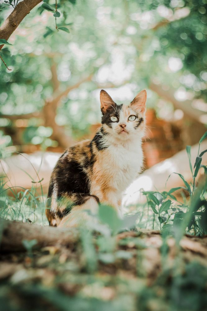 Photograph by Kássia Melo