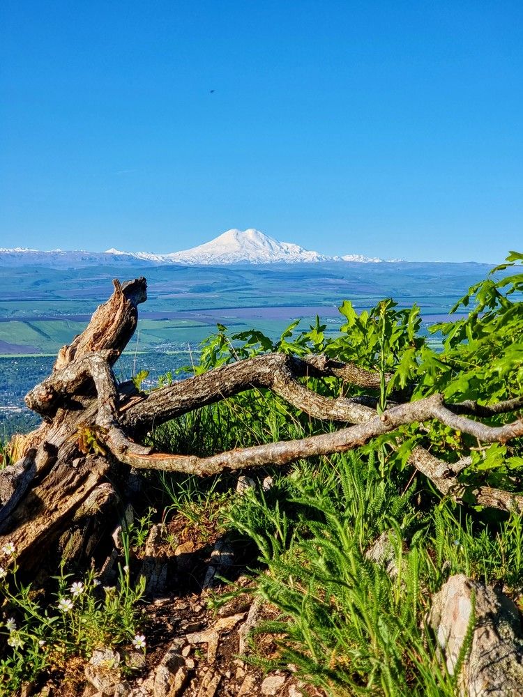 Photograph by Лидия Лащева