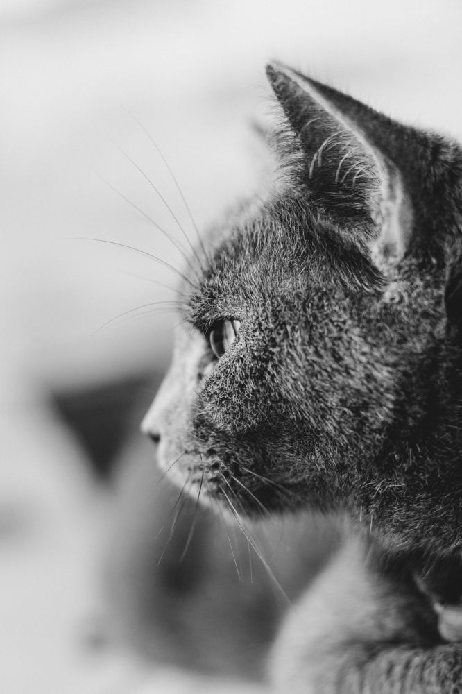 Photograph by Kássia Melo