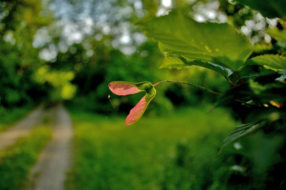 Photograph by Андрей Соколов