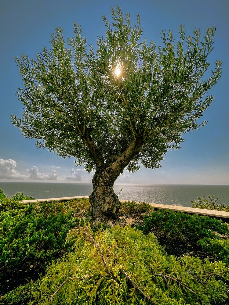Фотография автора Таша Воскресная