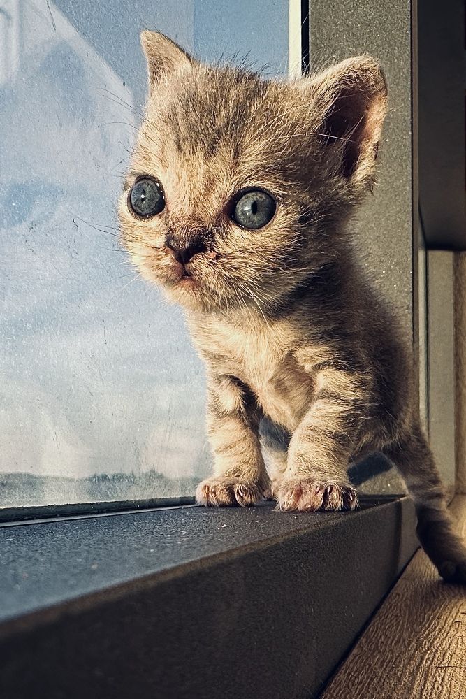 Фотография автора Олег Васильев