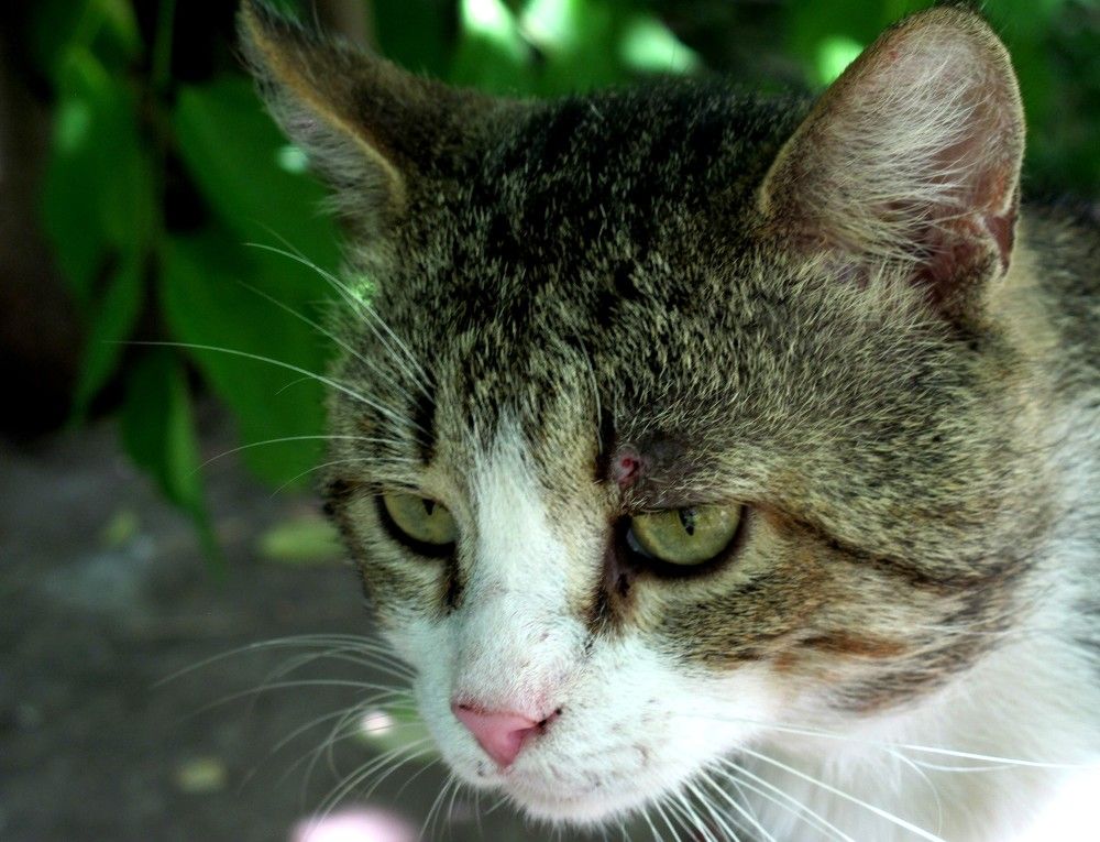 Photograph by Анастасия Пухова