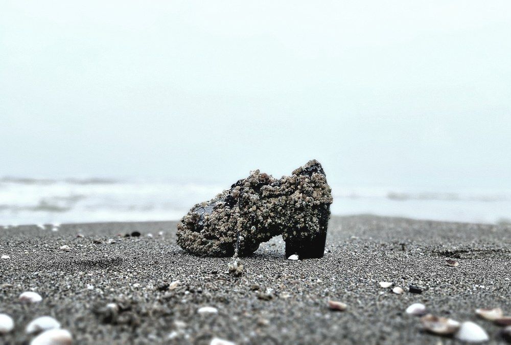 Photograph by maziar zahmatkesh