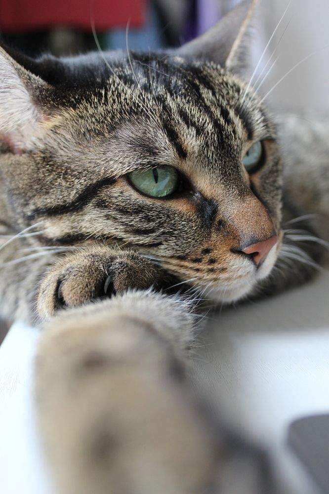 Photograph by Catalina Sirbu