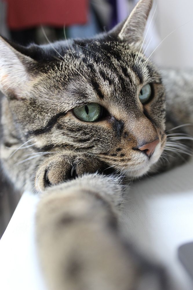 Photograph by Catalina Sirbu