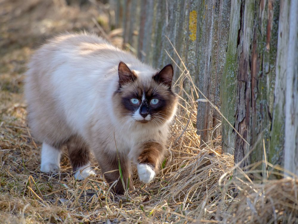 Photograph by Мудрилов Антон