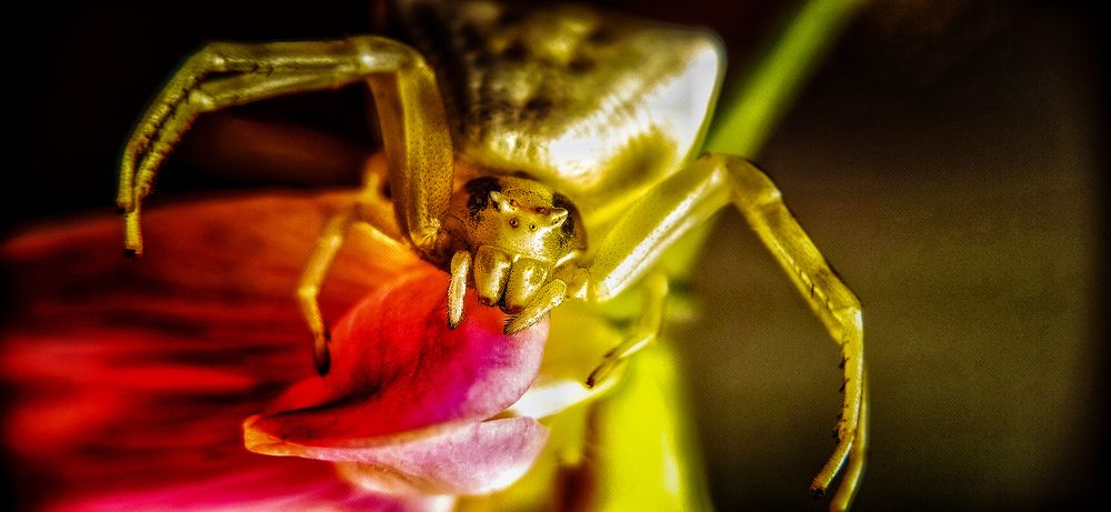 Фотография автора Mahdi Mohammadi