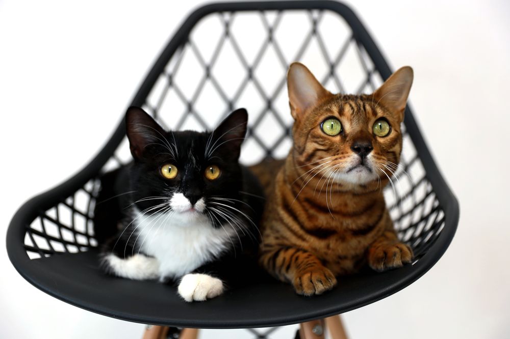 Photograph by Галина Фурсова