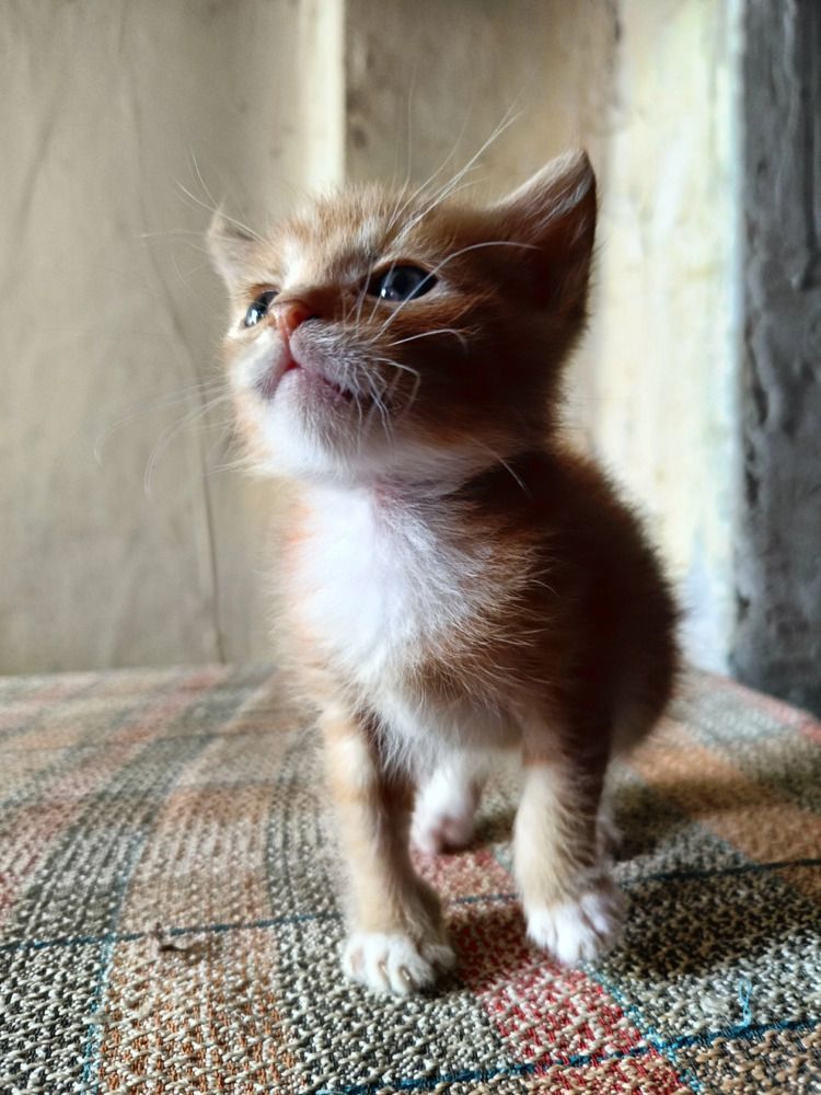 Photograph by Алексей Левичев