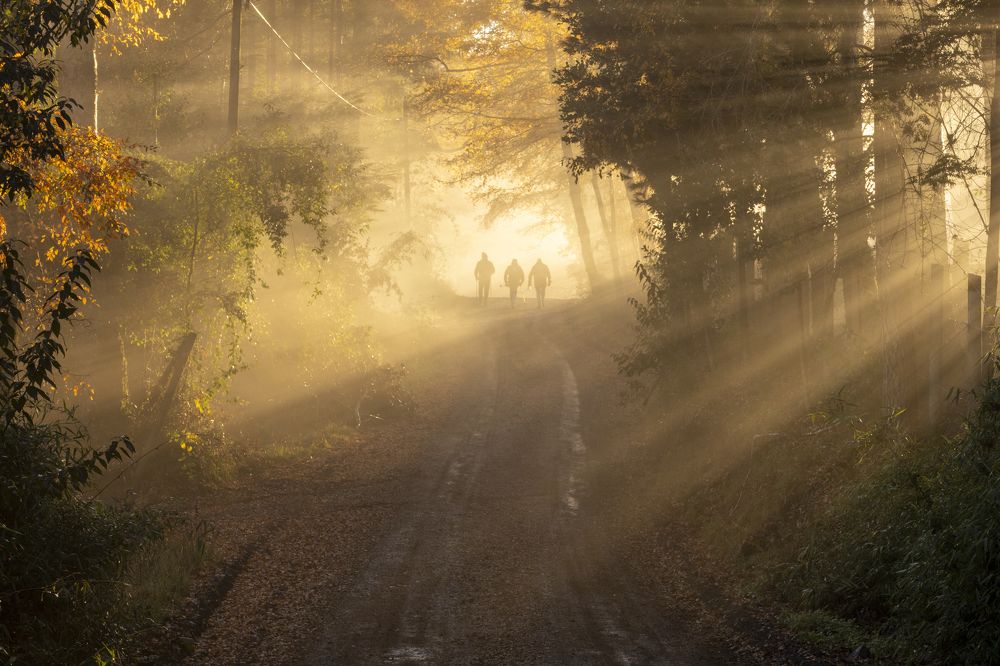 Caminantes al amanecer