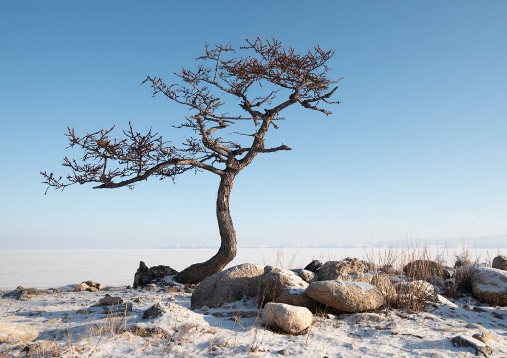 Photograph by Крицак Ольга