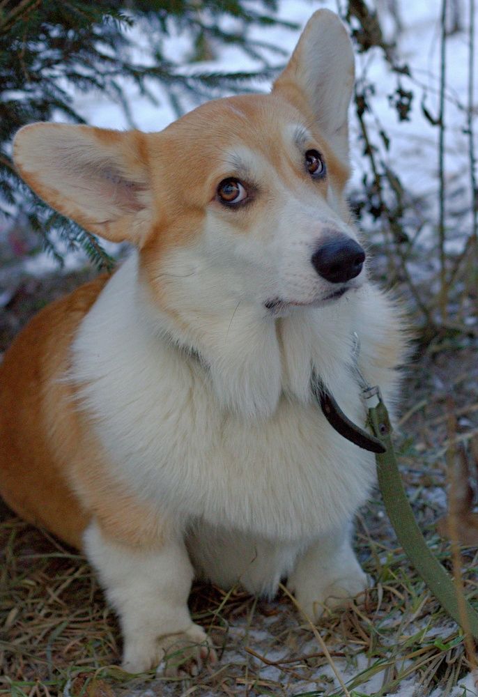 Photograph by Елена Казакова