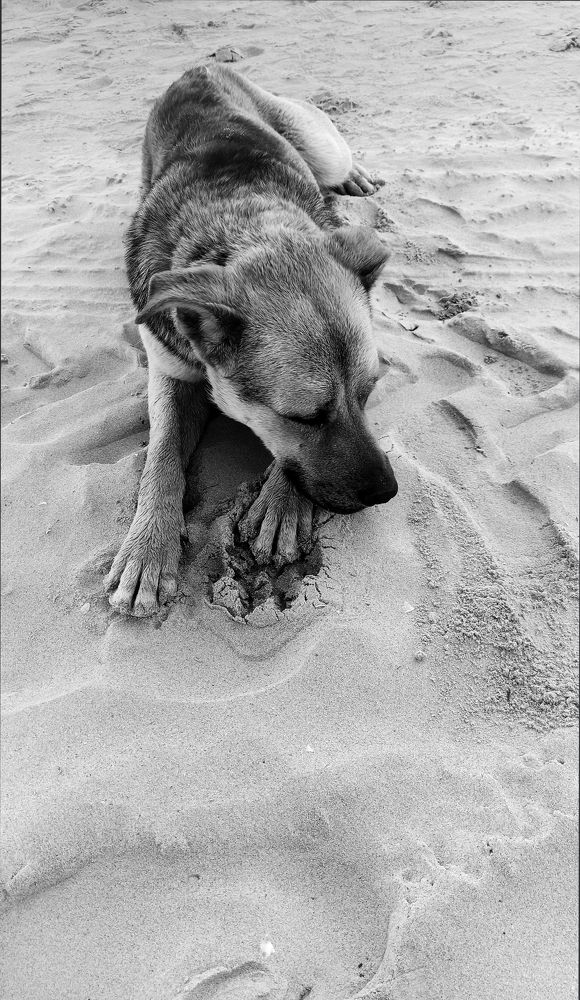 Потерянный .