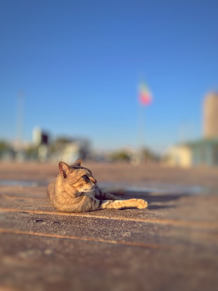 Photograph by mohsen  ali nikpour