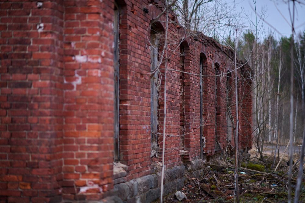 Photograph by Денис Смирнов