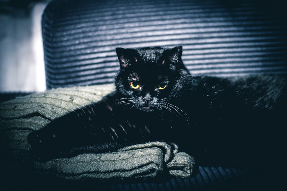 Photograph by Евгений Сиротин