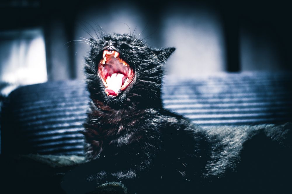 Photograph by Евгений Сиротин