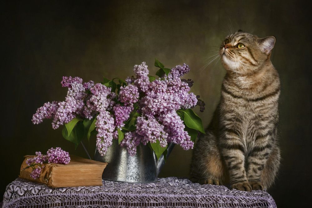 Photograph by Ирина Ефимова