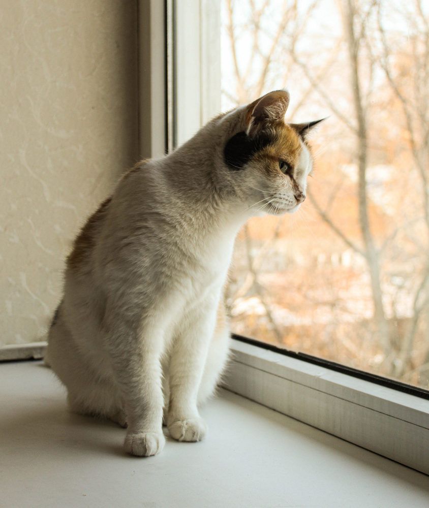 Photograph by Татьяна Леонтьева