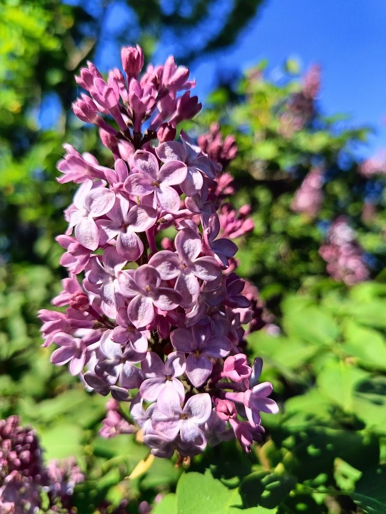 Photograph by Алексей Левичев