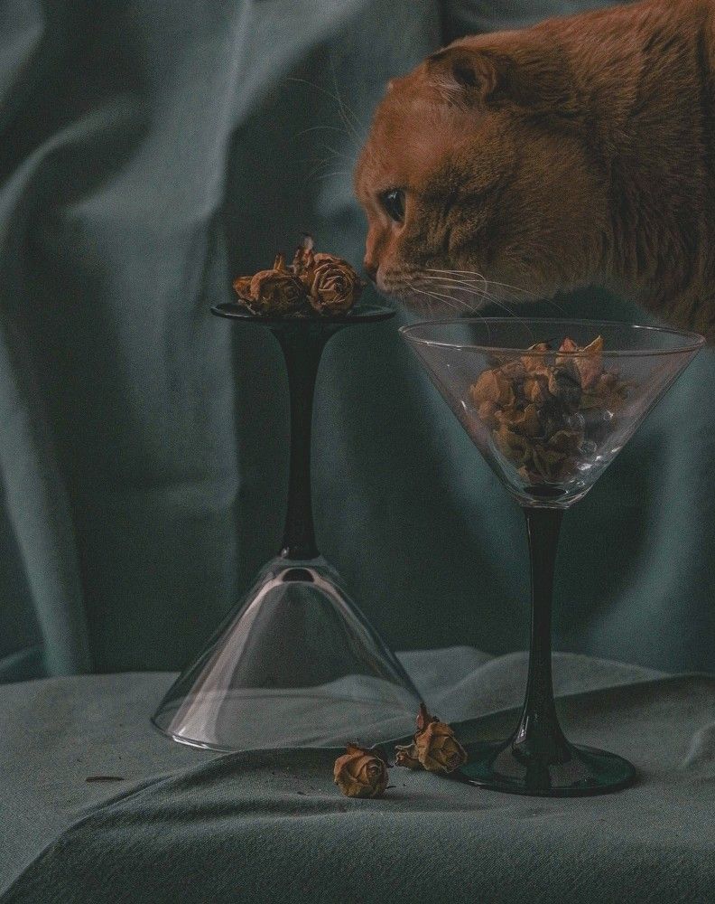 Photograph by Наталья Исаева