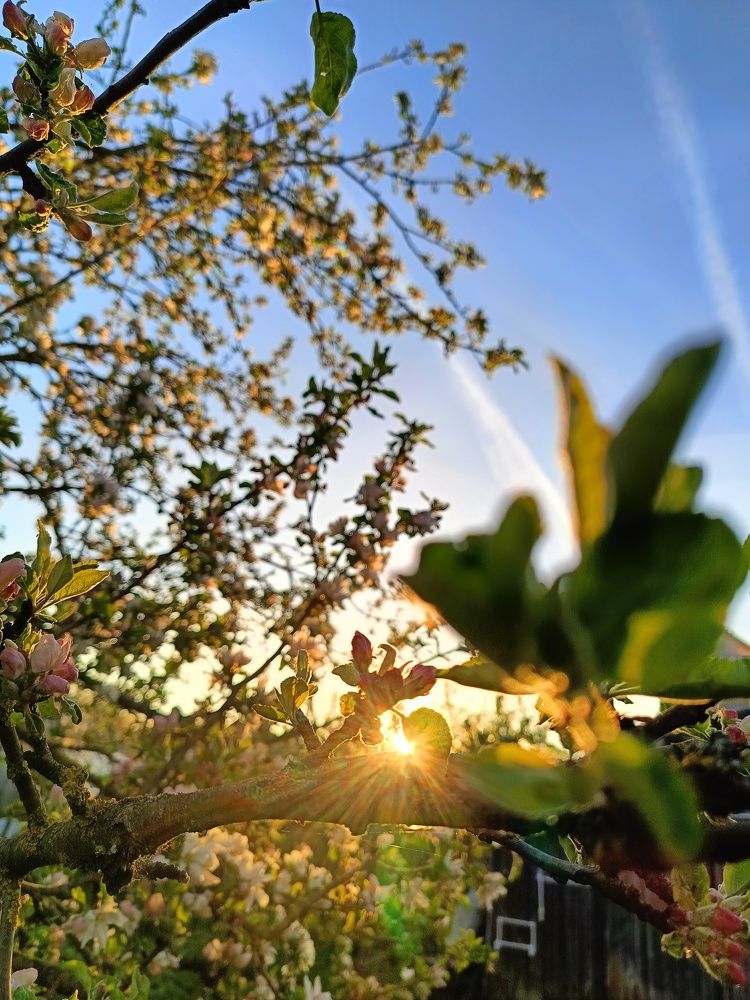 Photograph by Алексей Левичев