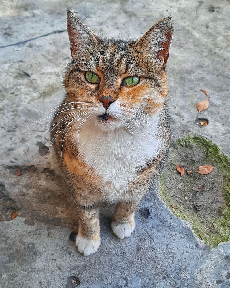 Photograph by Анастасия Кочетова