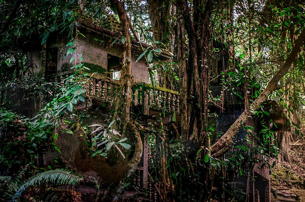 Photograph by Анна Орманжи