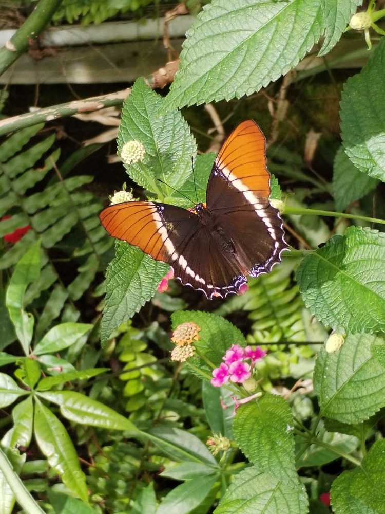 Photograph by Debora