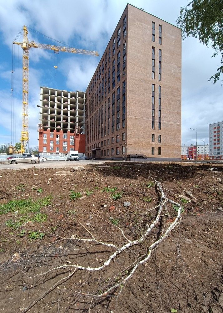 Photograph by Садов Юрий