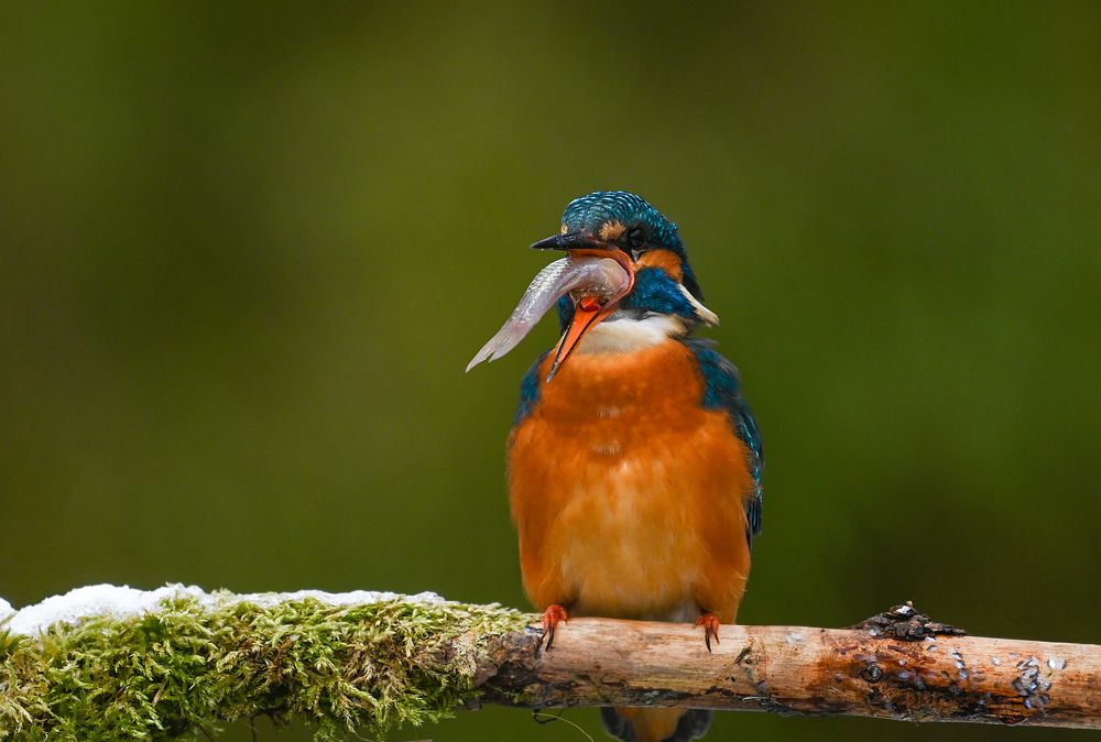 Photograph by nimalan subramaniam