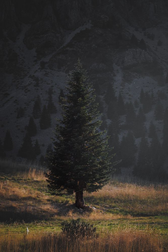 Фотография автора Vasilhs kolios