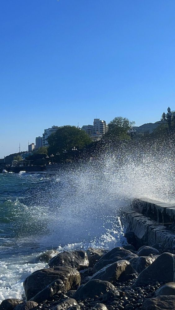 Photograph by Лиса