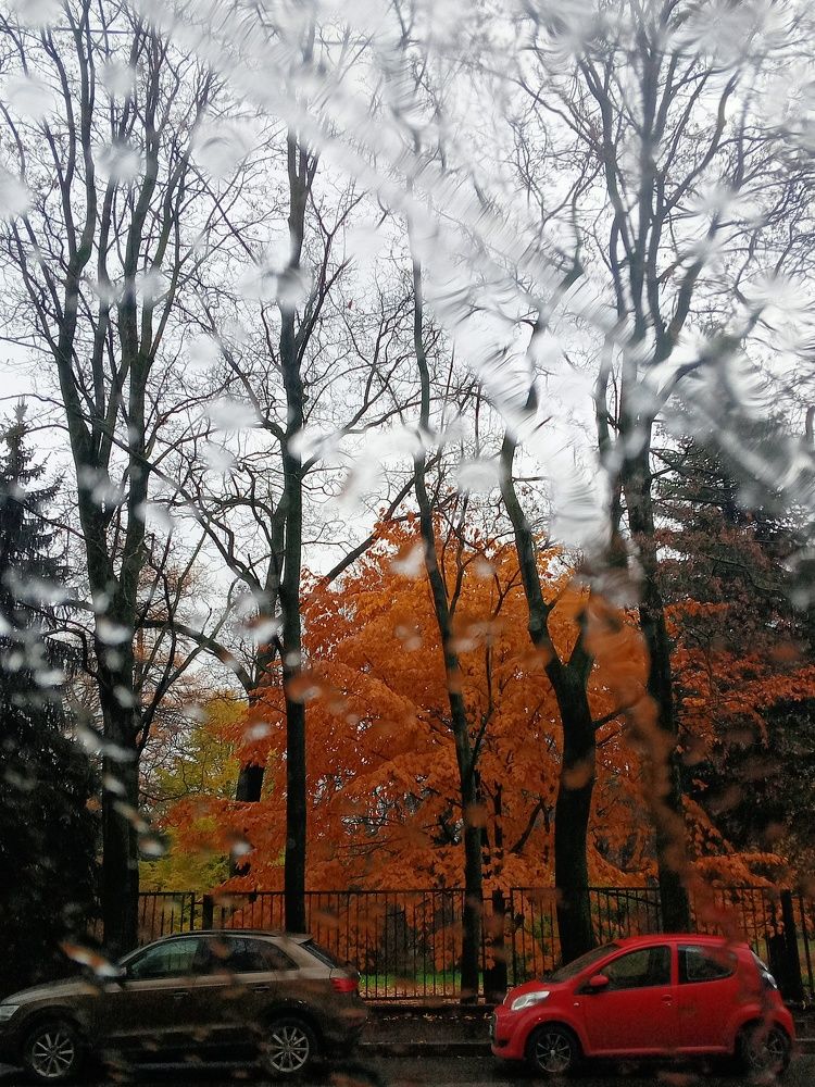 Photograph by Татьяна Бойцова