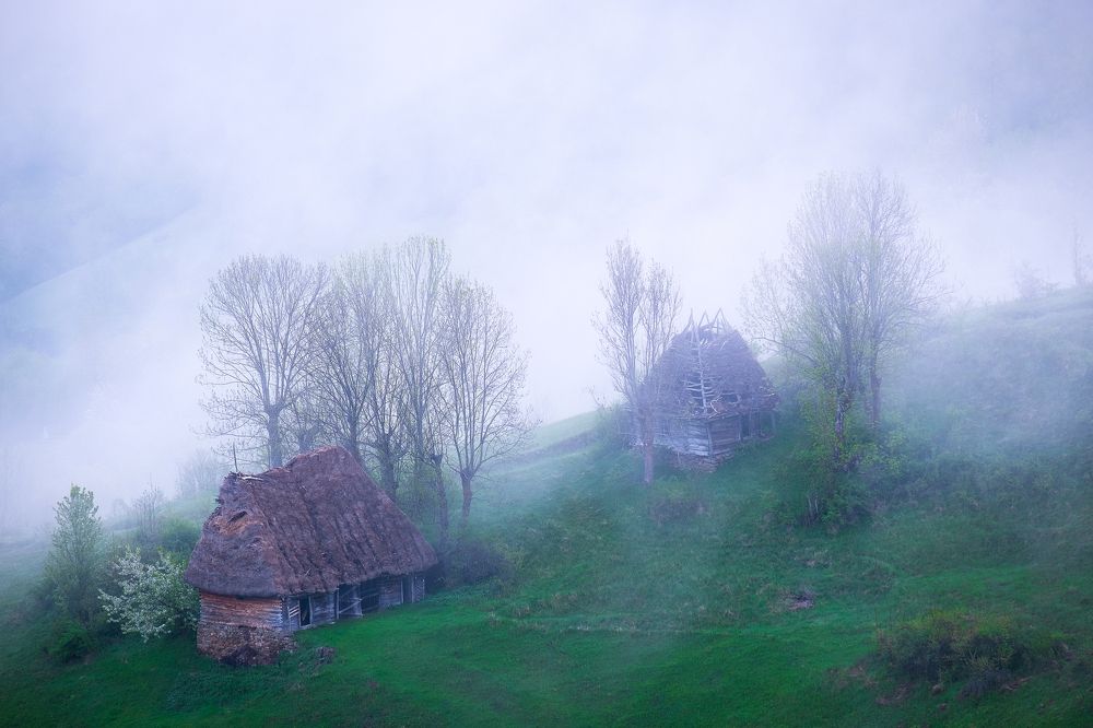 Photograph by Alexandru Pavel