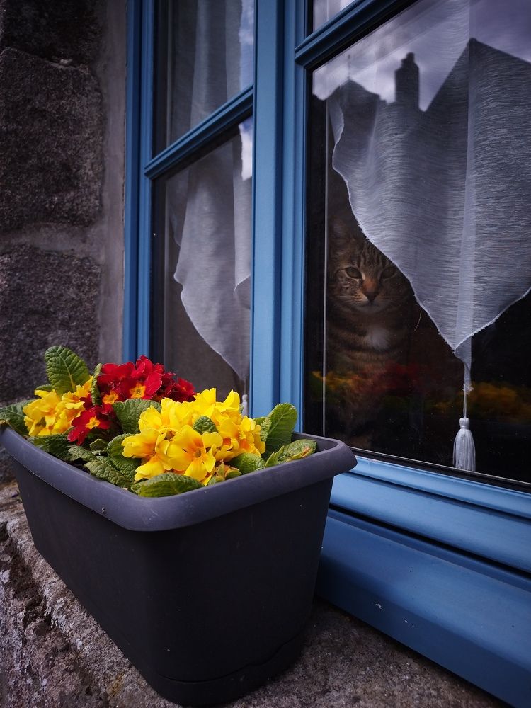 Photograph by Светлана Мишенина