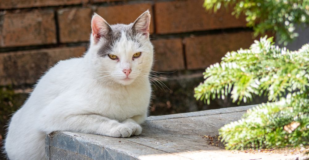 Photograph by Pucs Fongabe