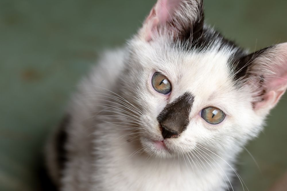 Photograph by Pucs Fongabe